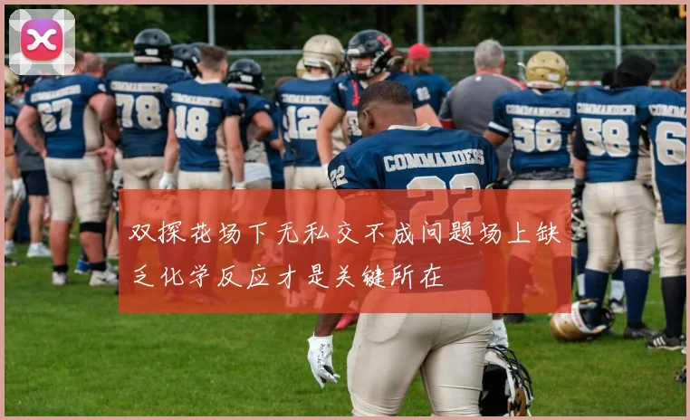 双探花场下无私交不成问题场上缺乏化学反应才是关键所在