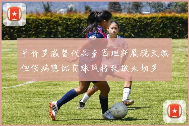 平价罗威替代品奎因坦斯展现天赋但伤病隐忧罚球风格致敬米切罗