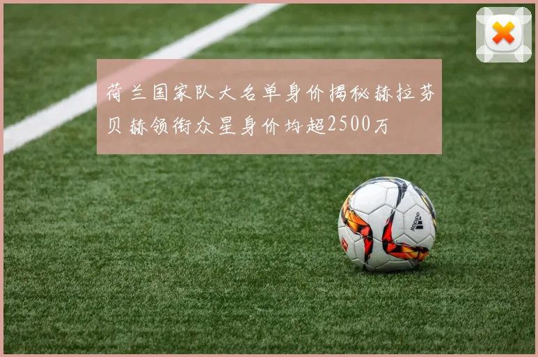 荷兰国家队大名单身价揭秘赫拉芬贝赫领衔众星身价均超2500万